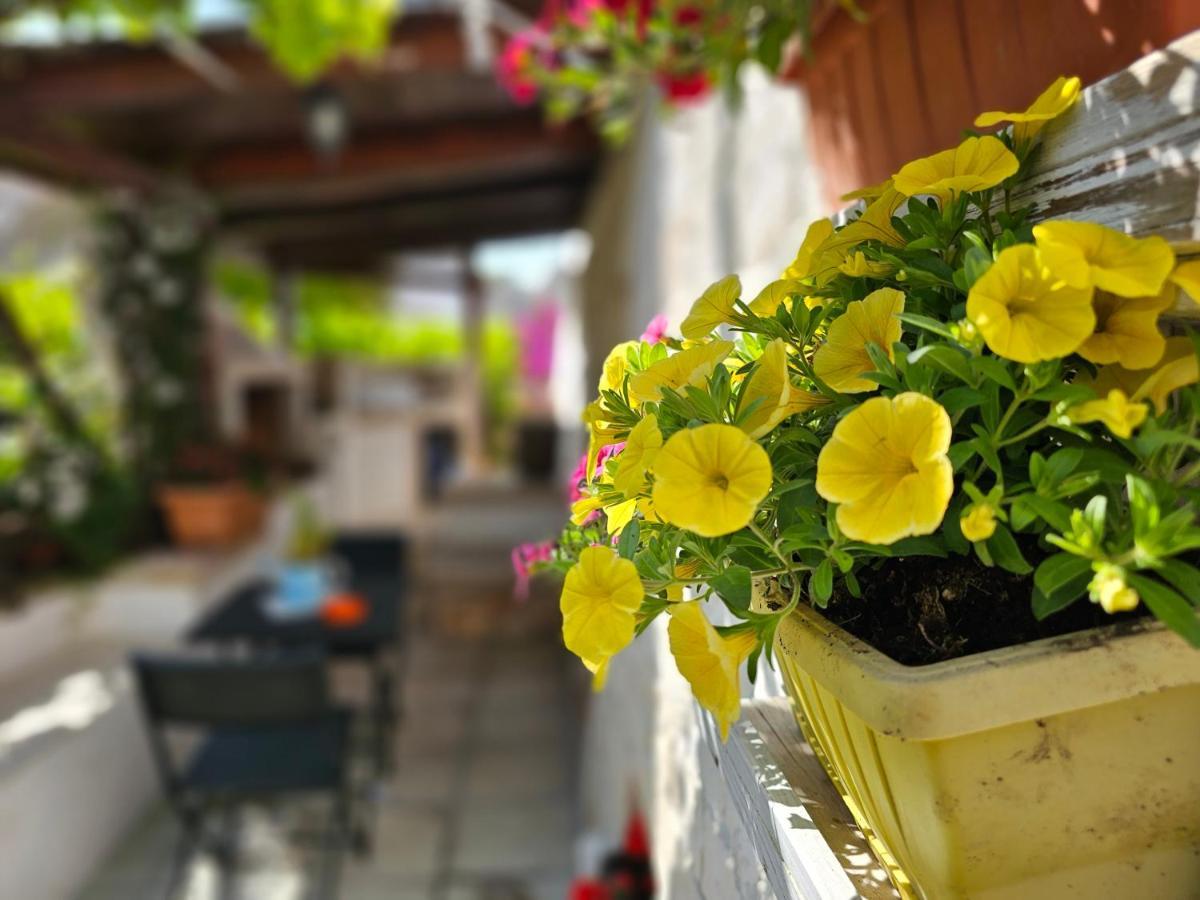 Il Trullo Felice Villa Locorotondo Eksteriør bilde